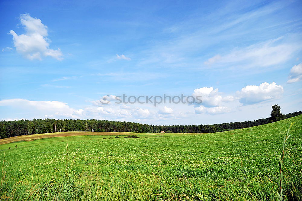 Similar – Image, Stock Photo Lake District Meadow Tree