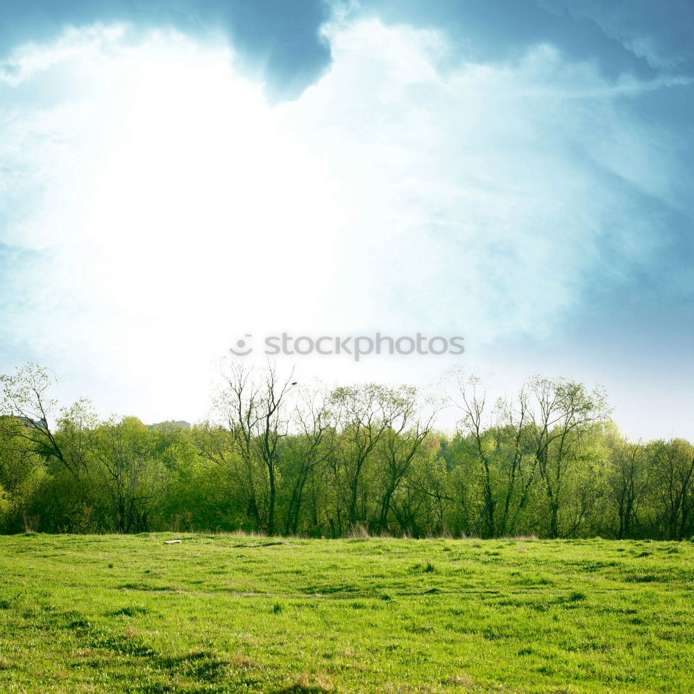 Similar – autumn weather Agriculture