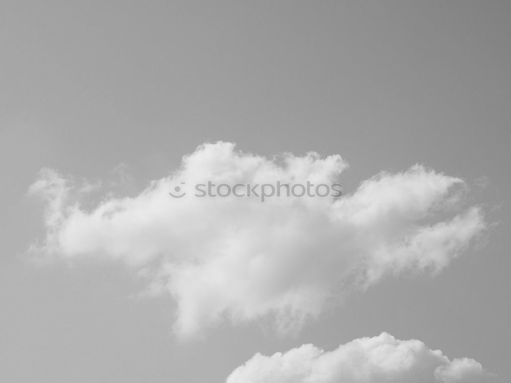 Similar – Image, Stock Photo green lung Environment