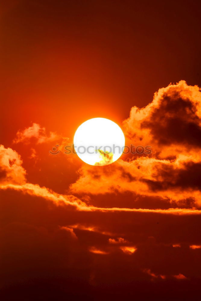 Similar – Image, Stock Photo sundown Sunset Forest Sky