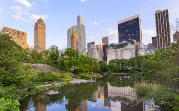 Central Park NY