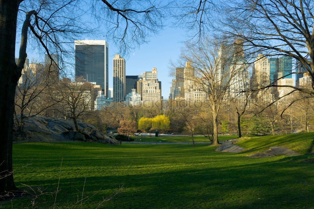 Similar – Central Park, New York