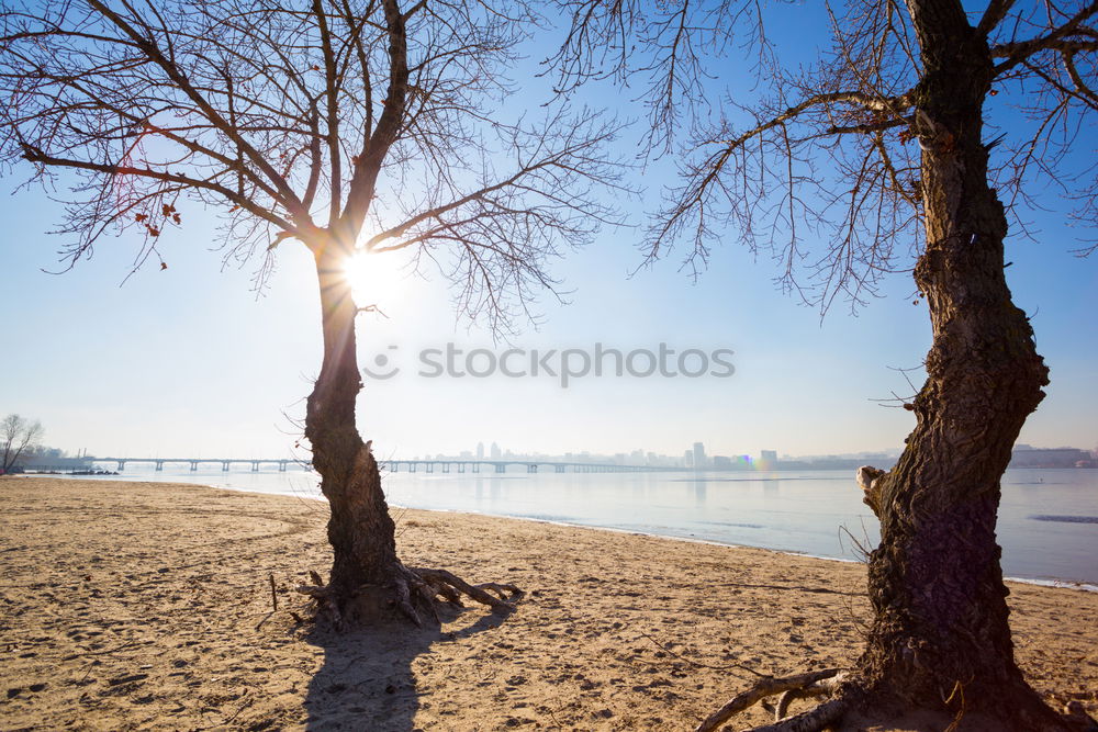 Similar – Image, Stock Photo promenade Back-light