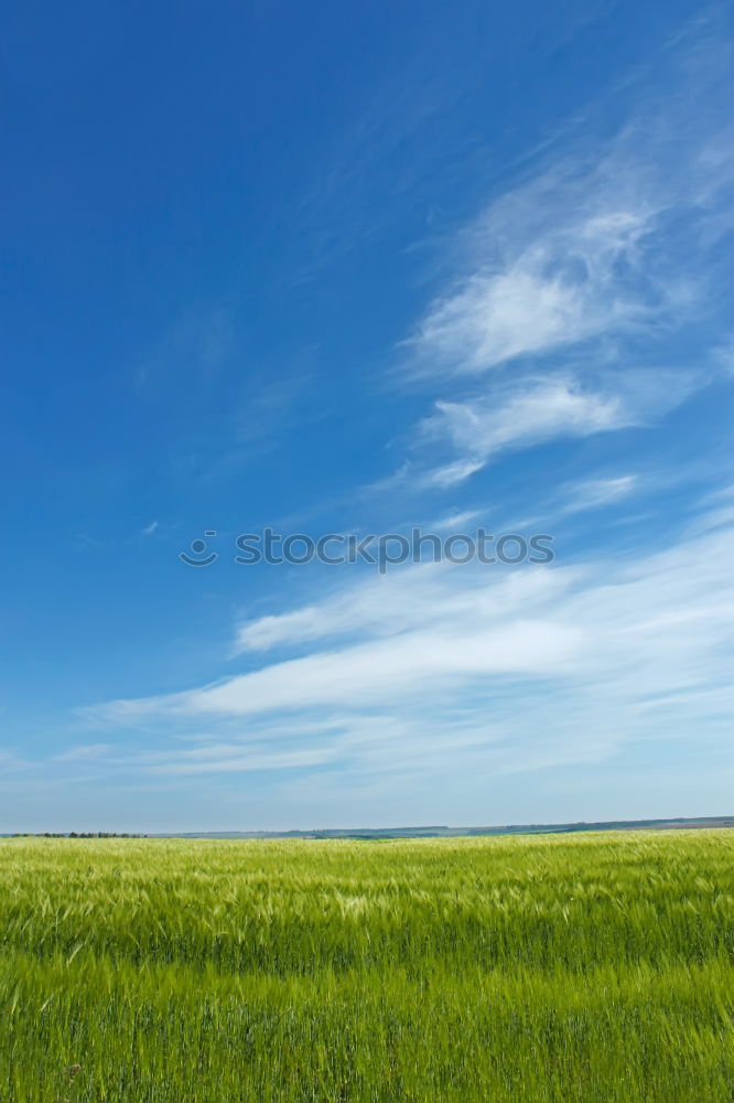 Similar – Weiß-blau-grün-gelb Umwelt