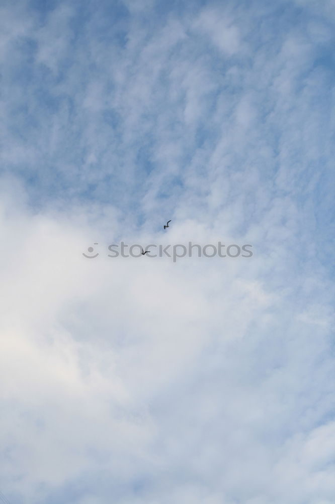 Similar – Image, Stock Photo Flight day 5 Airplane