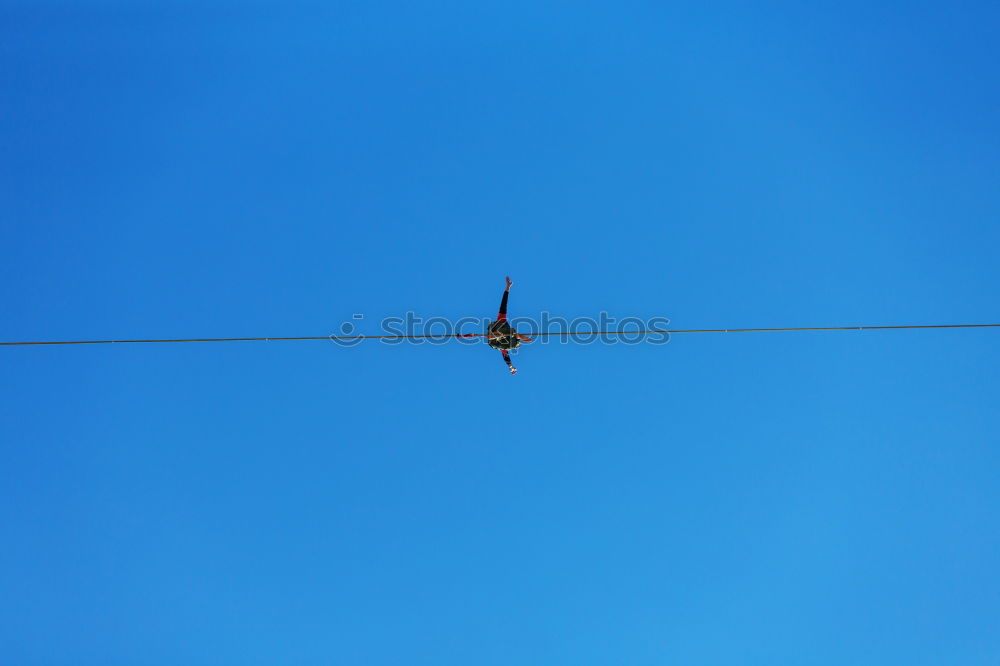 Similar – Image, Stock Photo canary bird Tree Animal