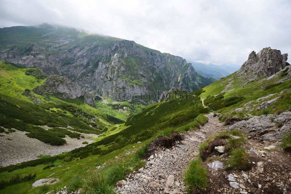 Similar – Image, Stock Photo View to the Kemptner hut in Allgäu