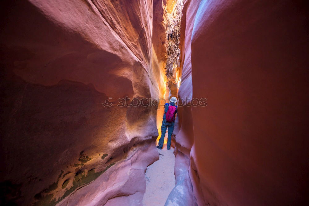 Similar – Image, Stock Photo Into the unknown Hiking