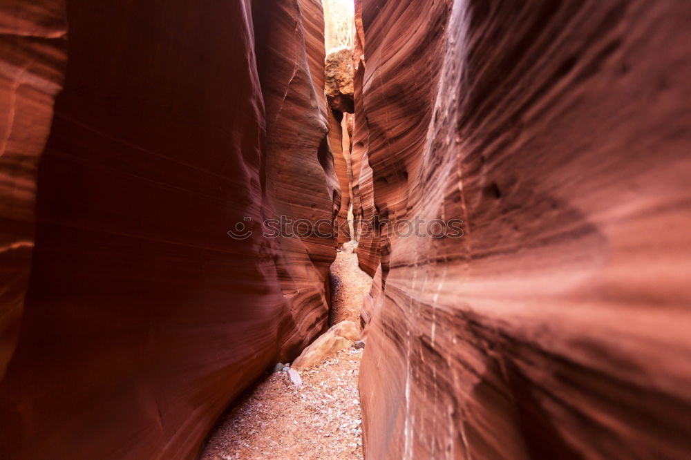 Similar – Image, Stock Photo crevice Nature Landscape