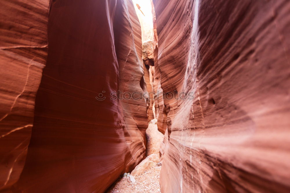 Image, Stock Photo crevice Nature Landscape