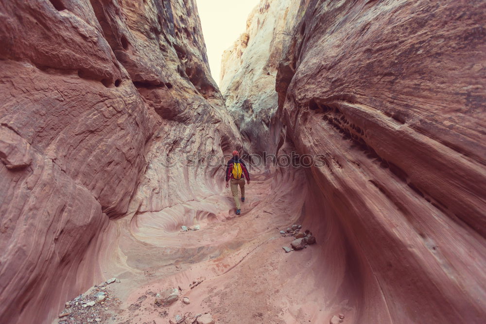 Similar – Image, Stock Photo dry wash Vacation & Travel