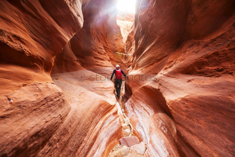 Similar – Image, Stock Photo Into the unknown Hiking