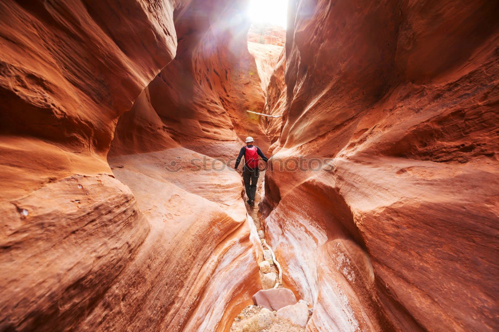 Similar – Image, Stock Photo Into the unknown Hiking