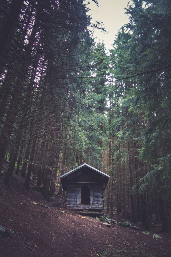 Similar – Image, Stock Photo Small house in forest