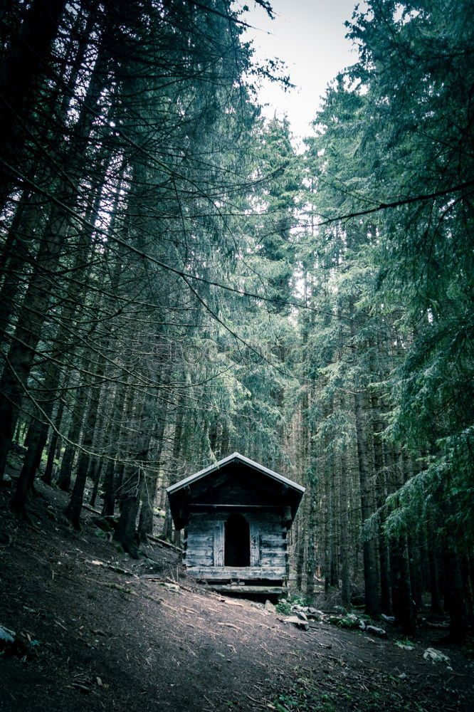 Similar – Image, Stock Photo Small house in forest