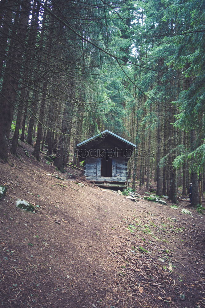 Similar – Image, Stock Photo Wooden house in forest