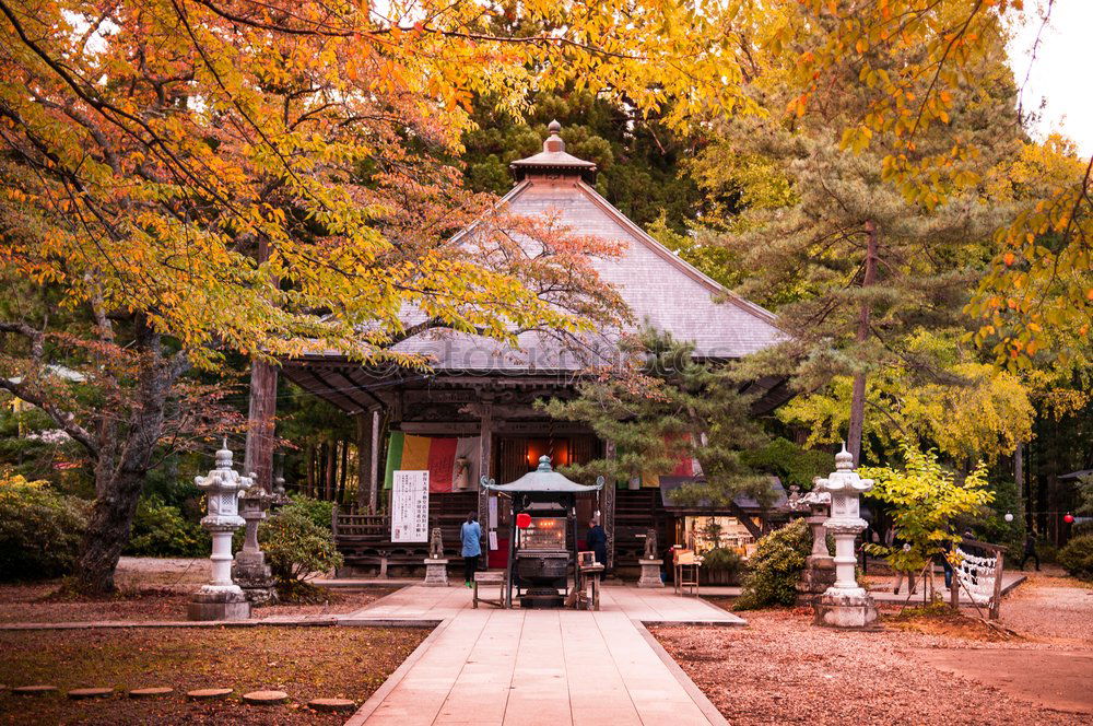 Similar – Traditional Asian building in forest