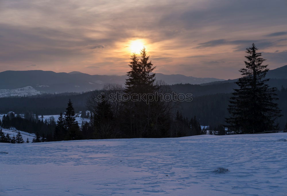 Similar – Image, Stock Photo winter hike in the northern Black Forest on a sunny day