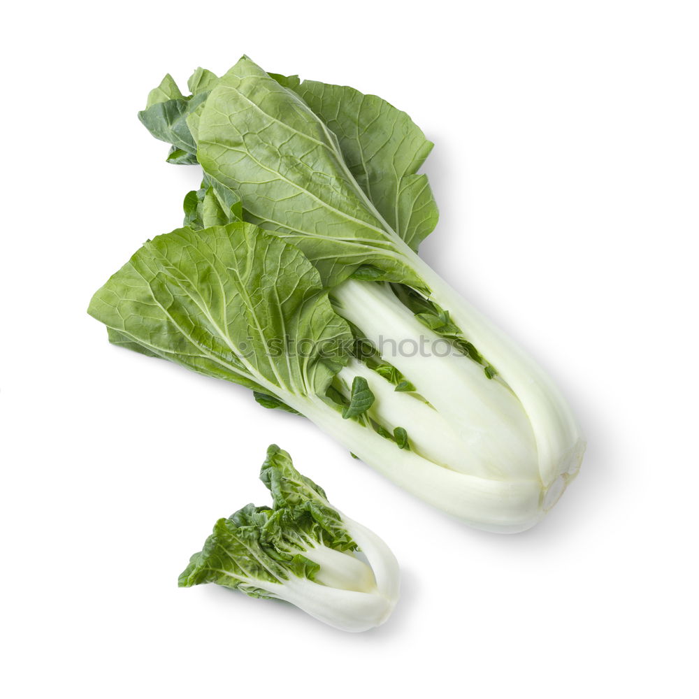 Baby Pak Choi cabbage on white wooden table