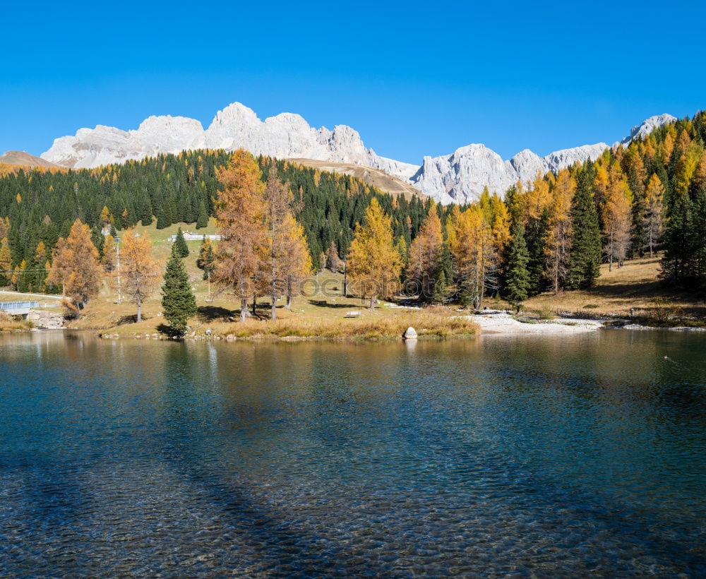 Similar – Image, Stock Photo Autumn at Duisitzkarsee lake