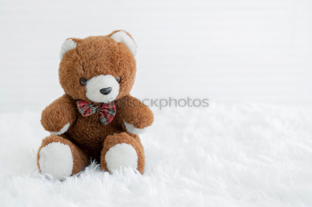 Similar – old teddy bear in a scarf sits on white snow