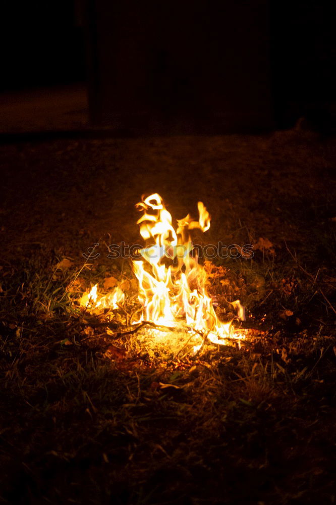 Similar – Image, Stock Photo fire Arm Hand Grass