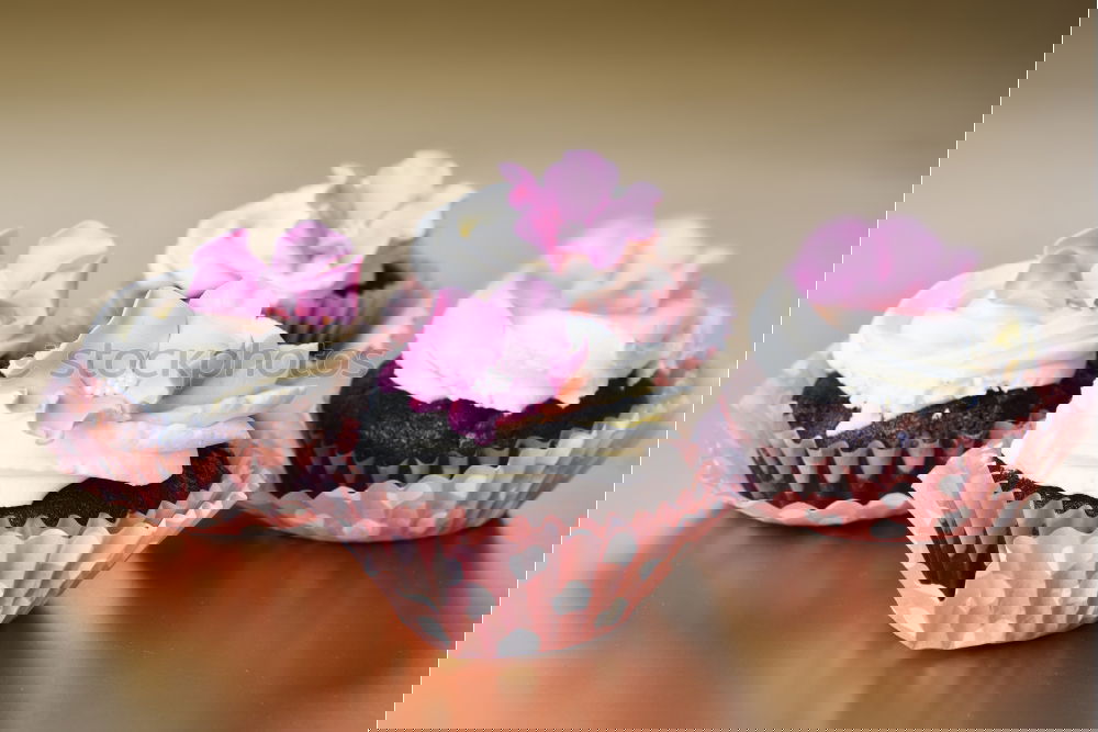 Similar – Foto Bild keep calm and have a cupcake