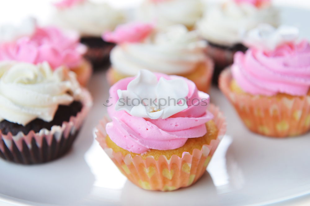 Image, Stock Photo muffins Muffin Cupcake