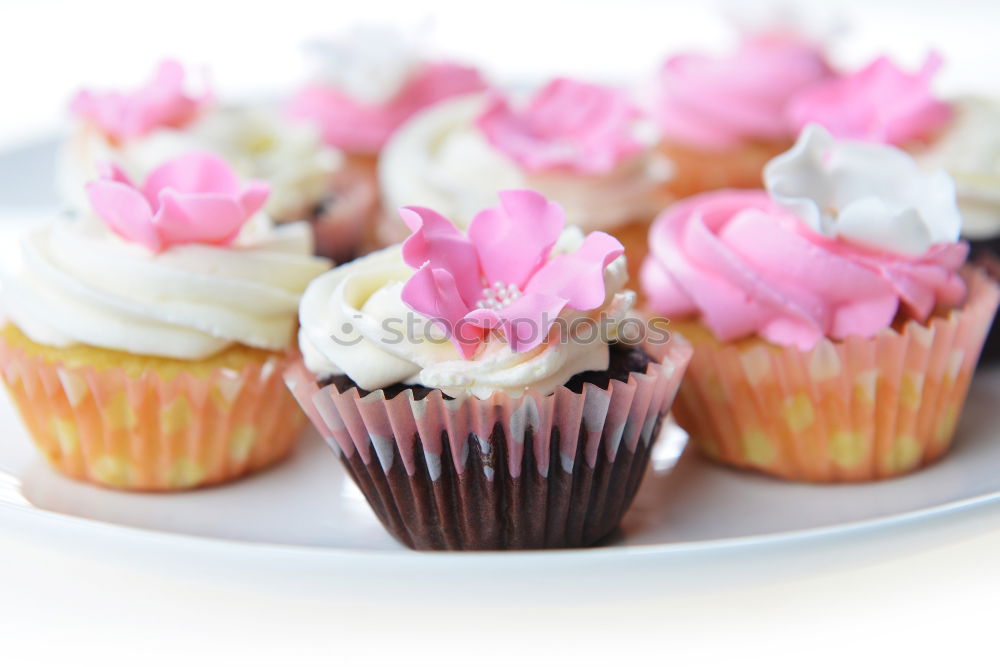 Similar – Image, Stock Photo muffins Muffin Cupcake