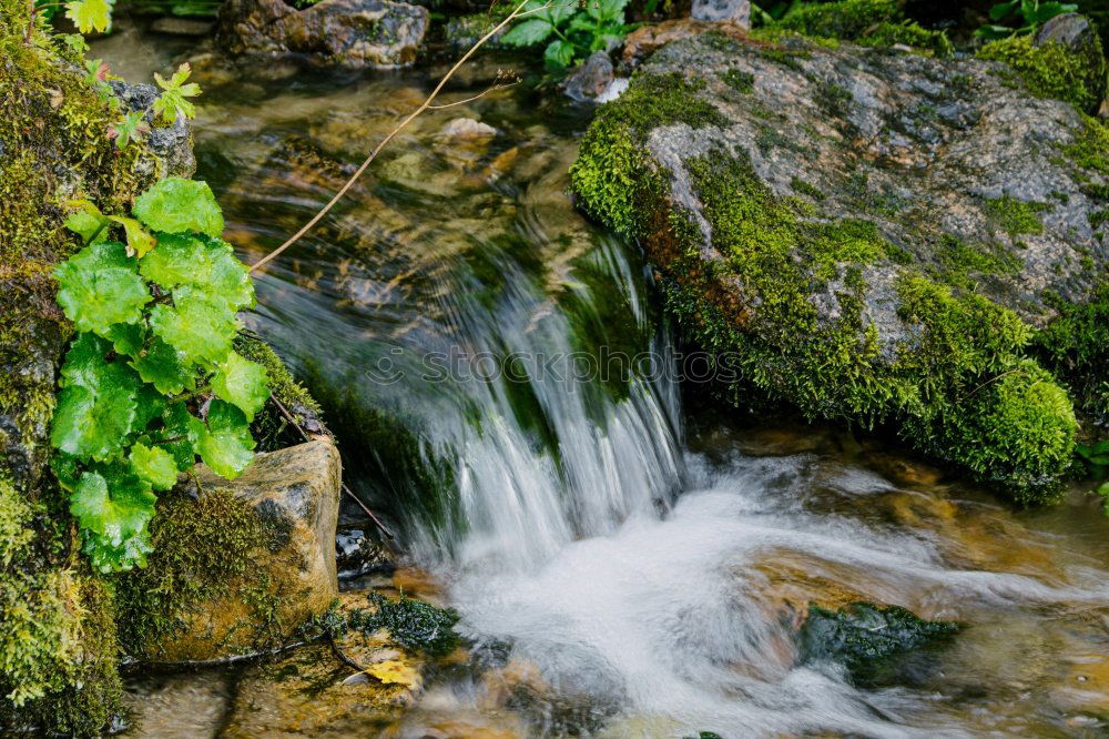 Similar – Image, Stock Photo Mini Waterfall Trip
