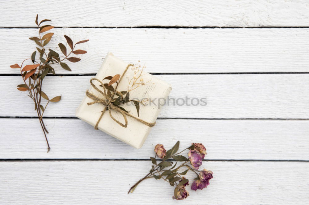 Similar – Garden Still Life Nature