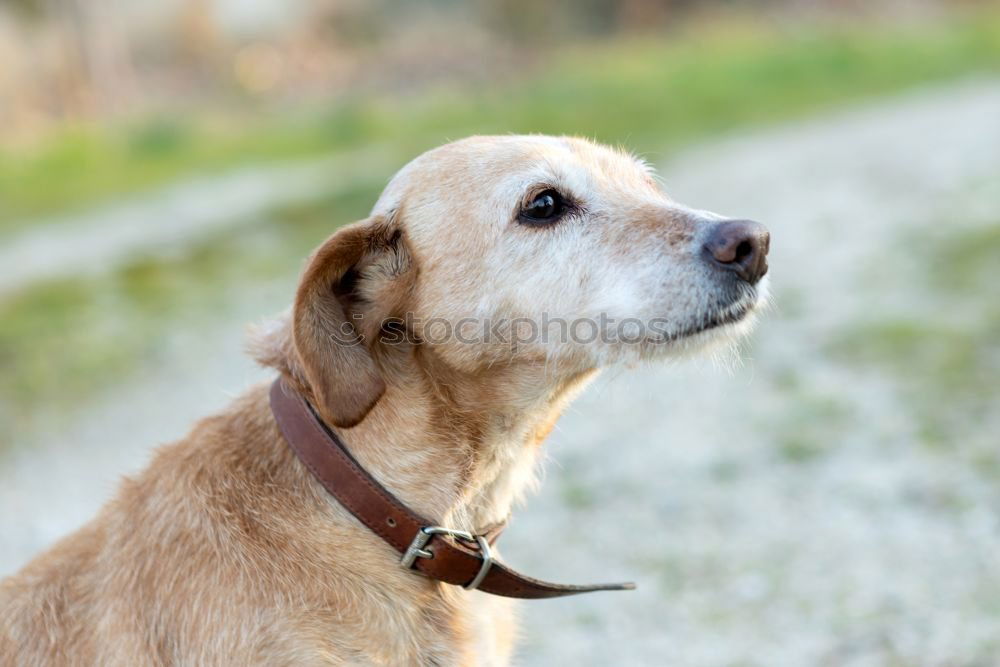 Similar – Image, Stock Photo discover Environment