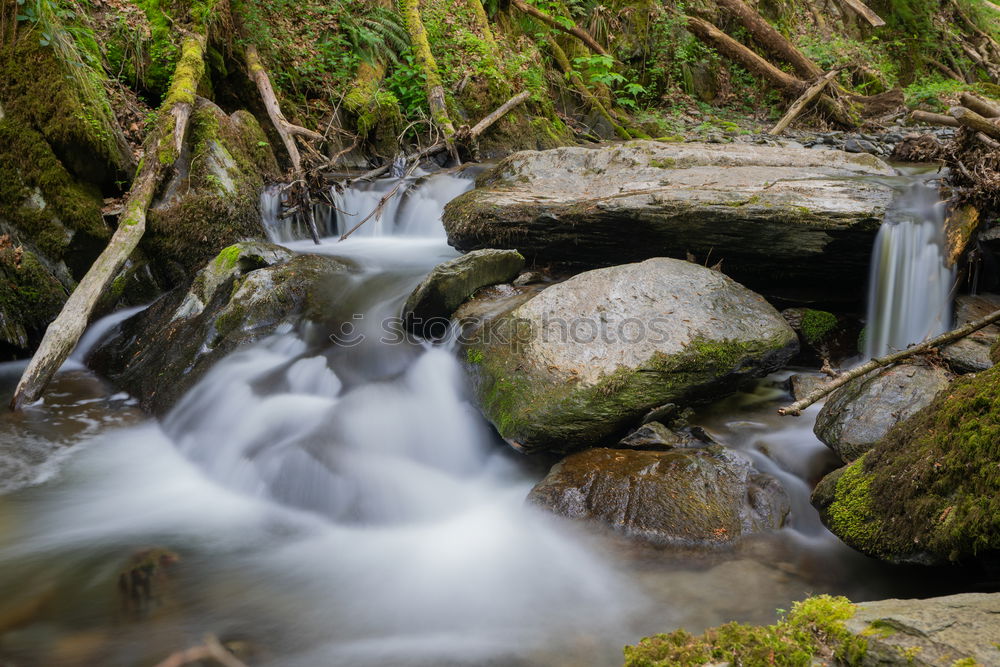 Similar – Image, Stock Photo Small cascade flowing in the forest