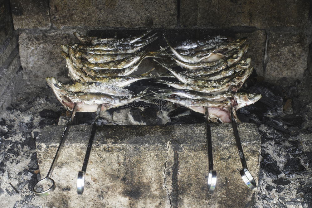 Similar – Grillfisch Fisch