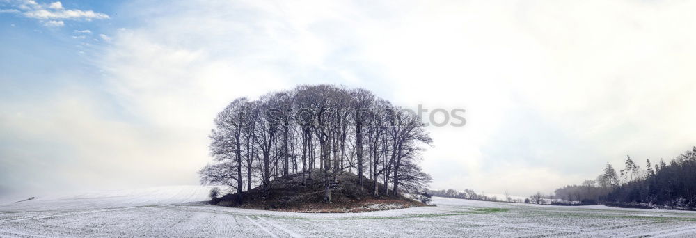 Similar – Image, Stock Photo winter hike in the northern Black Forest on a sunny day