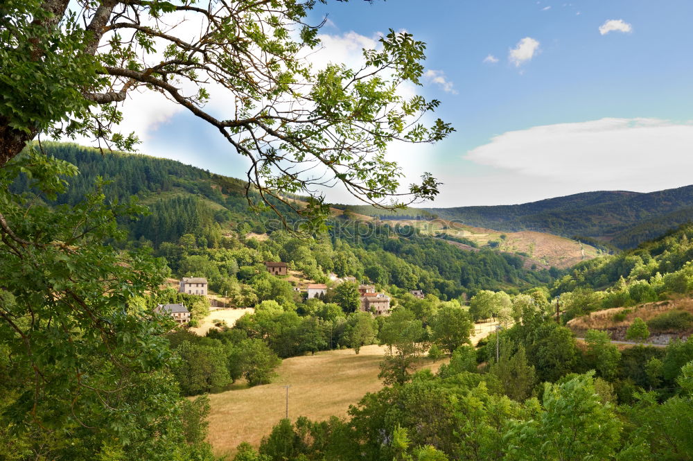 Similar – Foto Bild Weg ins Ungewisse Baum