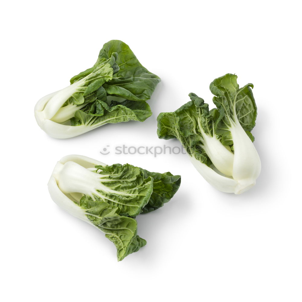 Similar – Baby Pak Choi cabbage on white wooden table