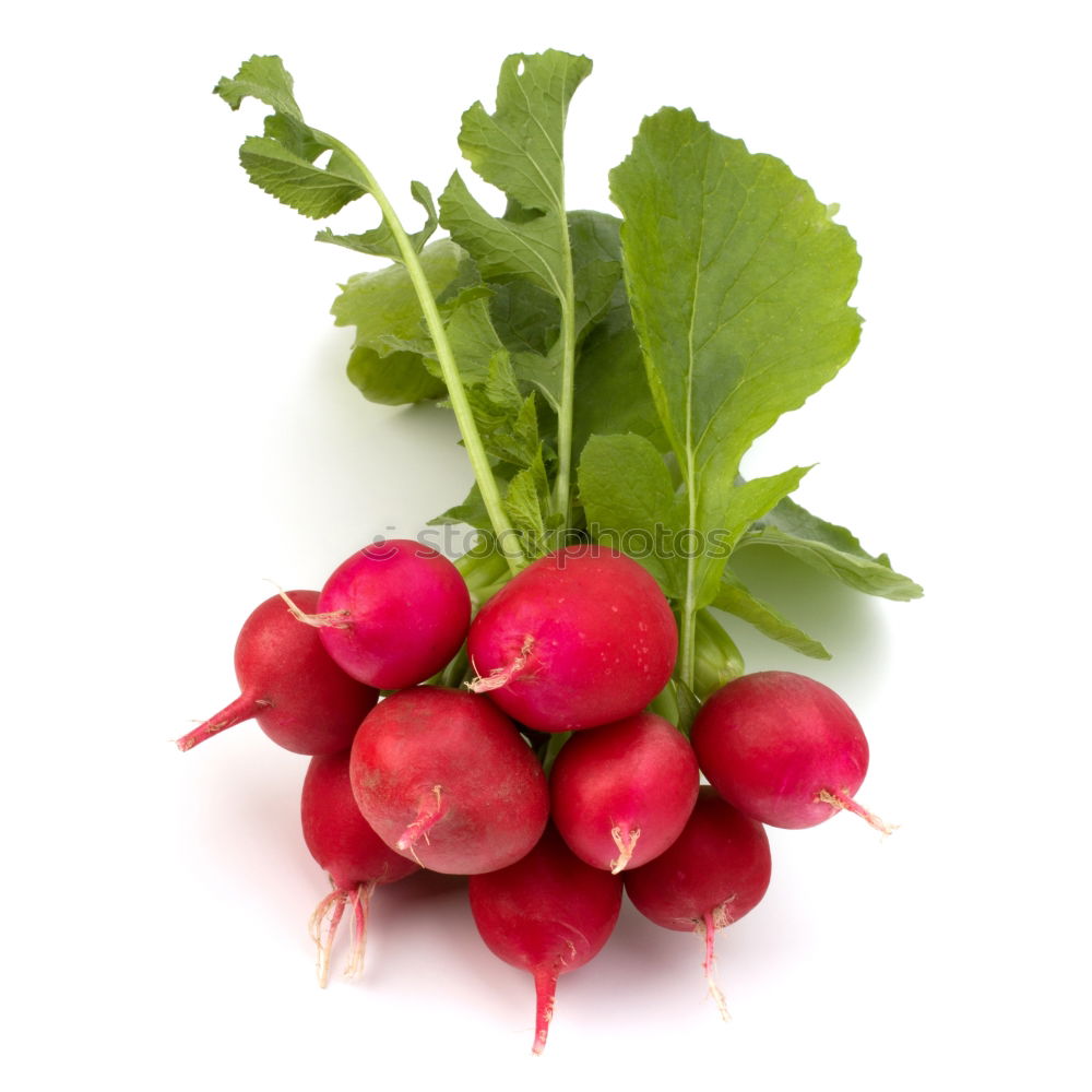 Similar – Image, Stock Photo radish Vegetable