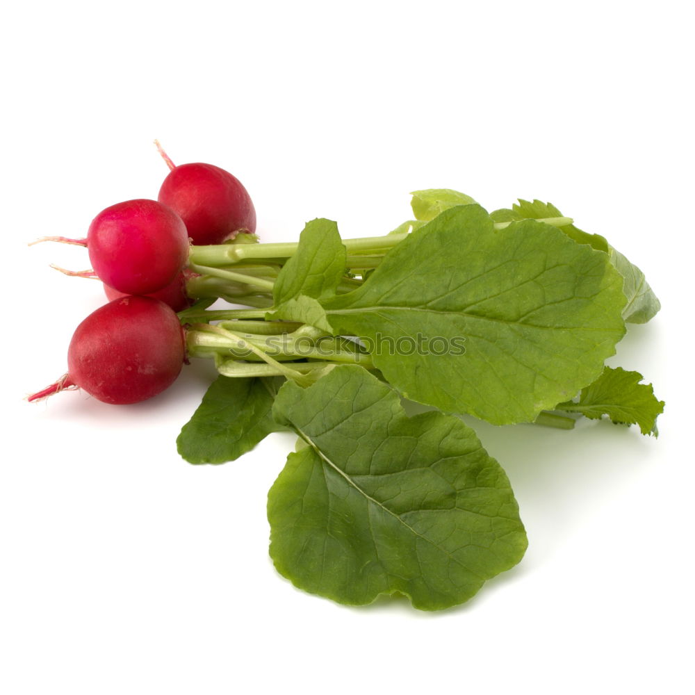 Similar – Image, Stock Photo radish Vegetable