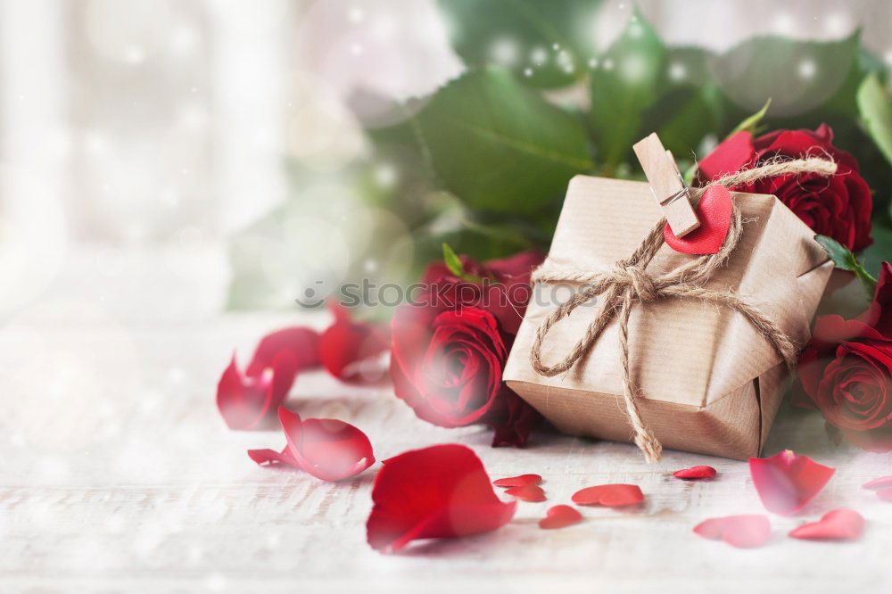 Similar – Image, Stock Photo Beautiful bouquet of flowers with greeting card and ribbon