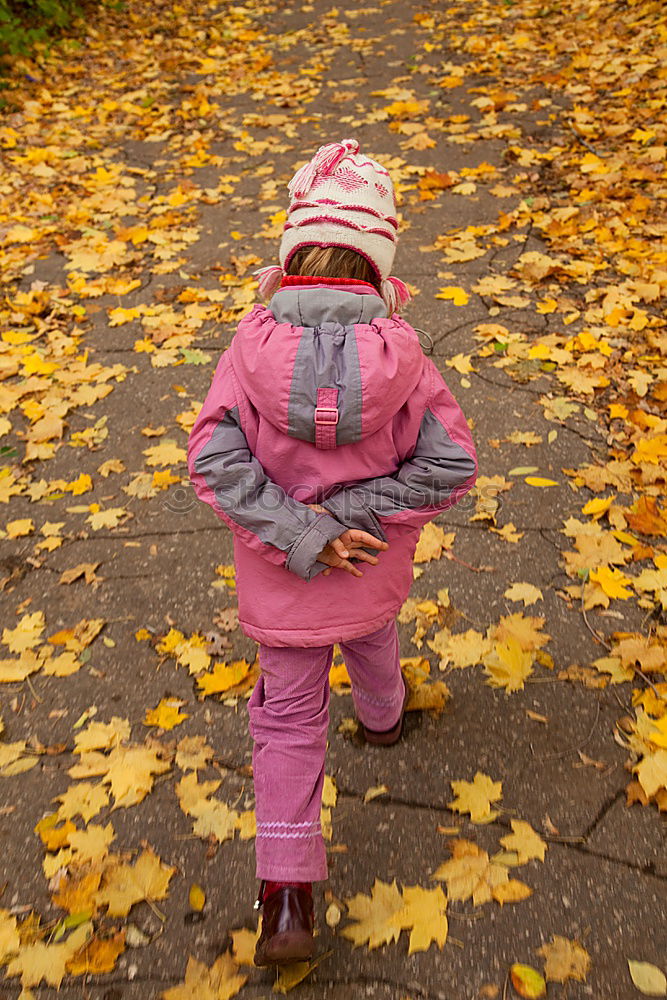 Similar – Image, Stock Photo rake leaves Joy