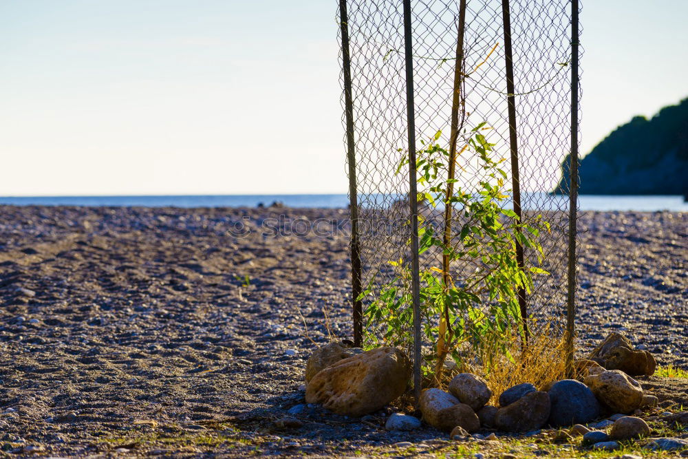 Similar – Image, Stock Photo limitations Border Fence