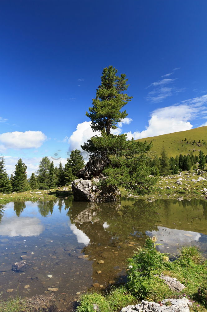 Similar – Foto Bild der herbst ist blau und grün