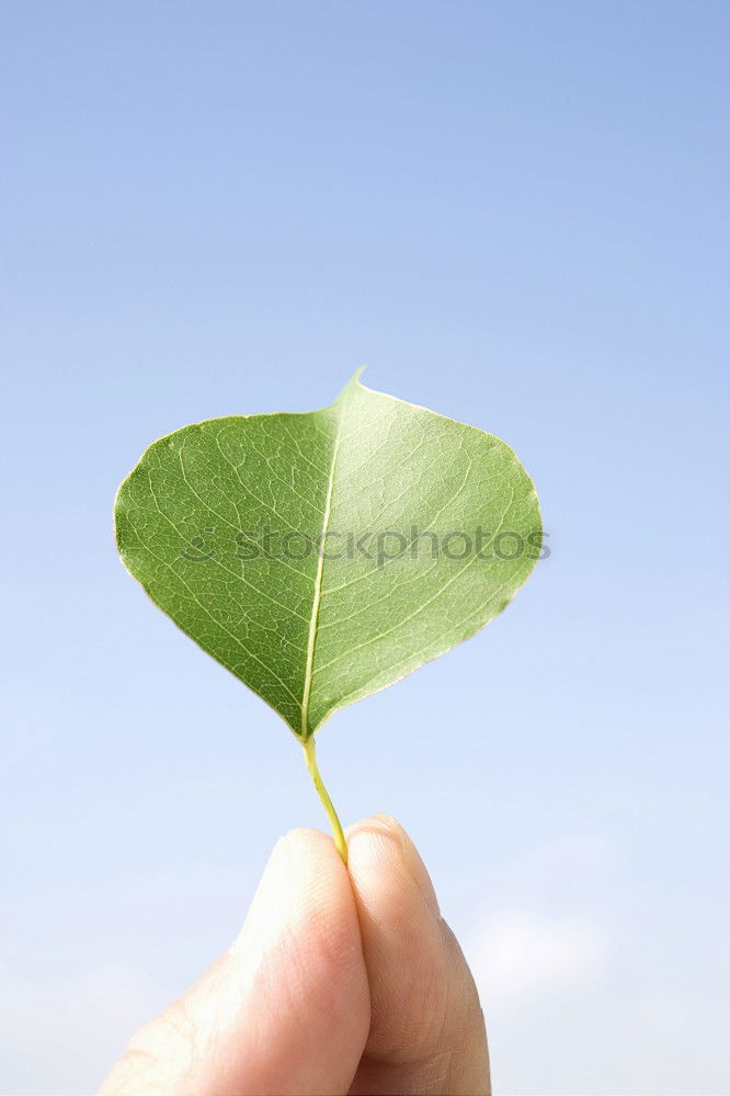 Similar – Image, Stock Photo happiness³ Human being