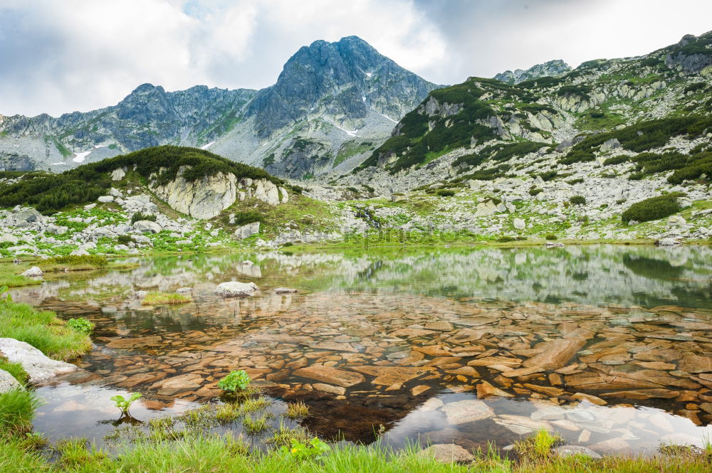 Similar – Image, Stock Photo Dolomites Lago Coldai