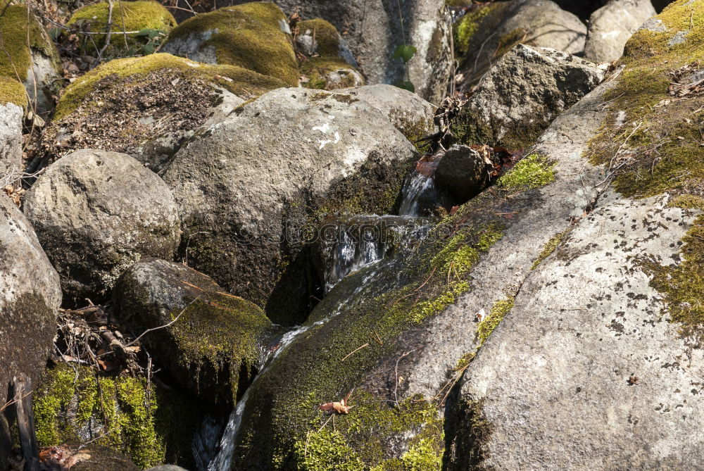 Similar – Foto Bild rocher Natur Urelemente