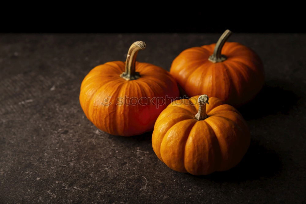 Similar – Image, Stock Photo My KÜRBIS III Food