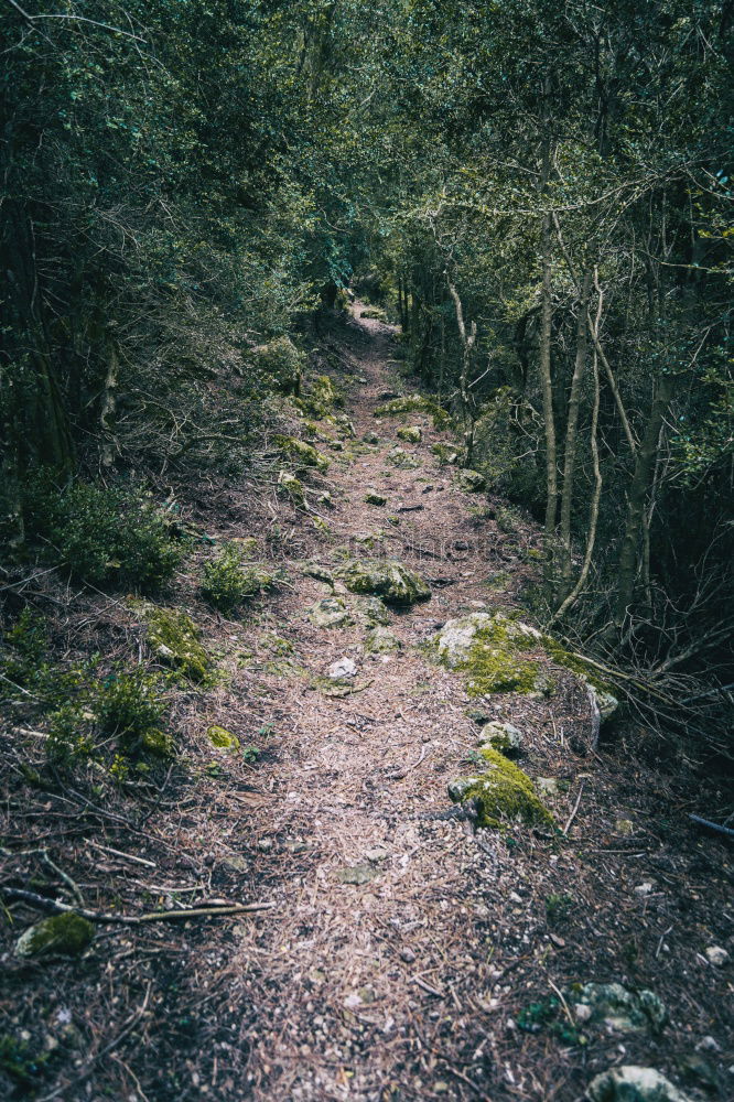 Image, Stock Photo The Trench Environment