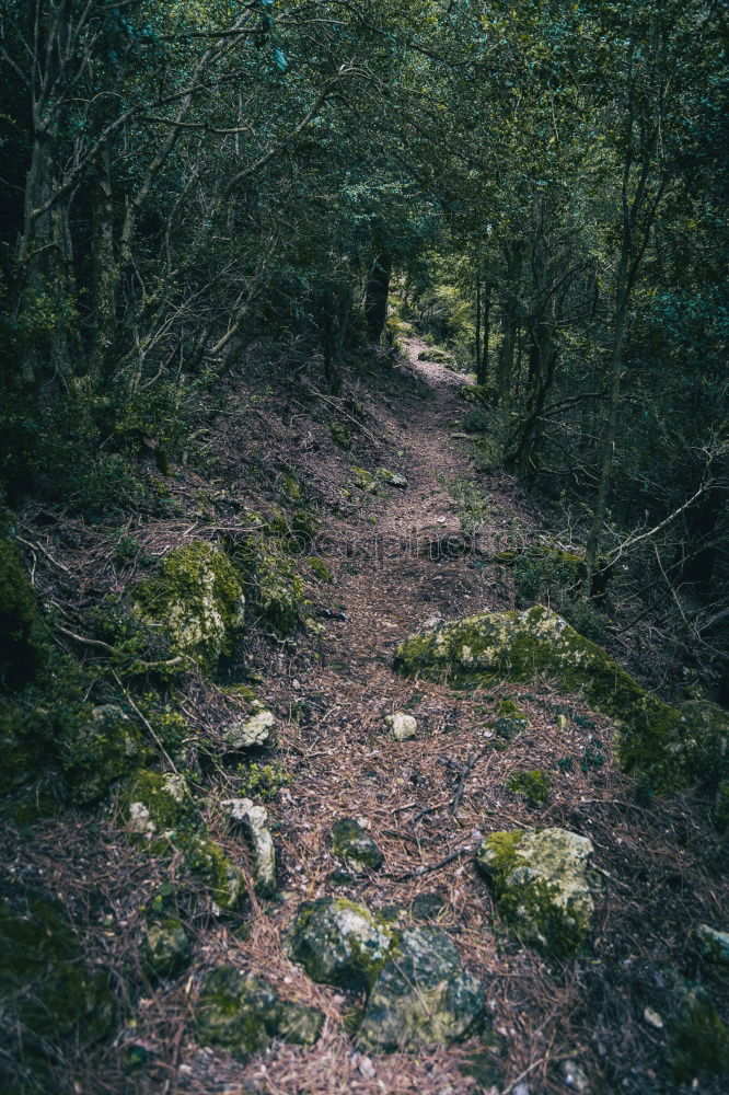 Similar – Image, Stock Photo The Trench Environment