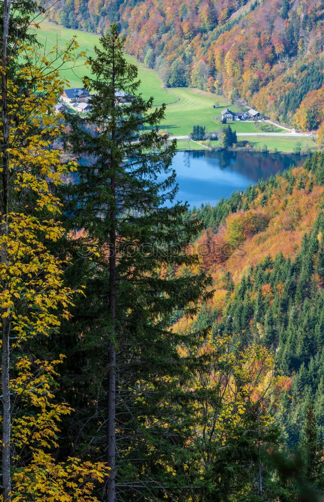 Similar – Herbst in den Bergen Natur